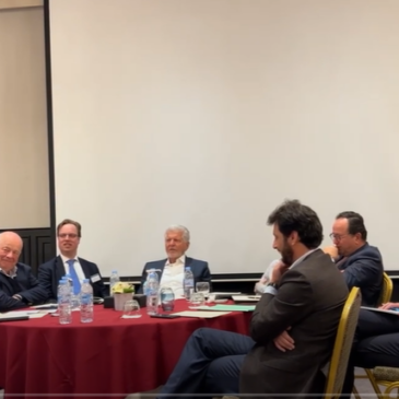 Roundtable discussio: The recent international developments in the green hydrogen field